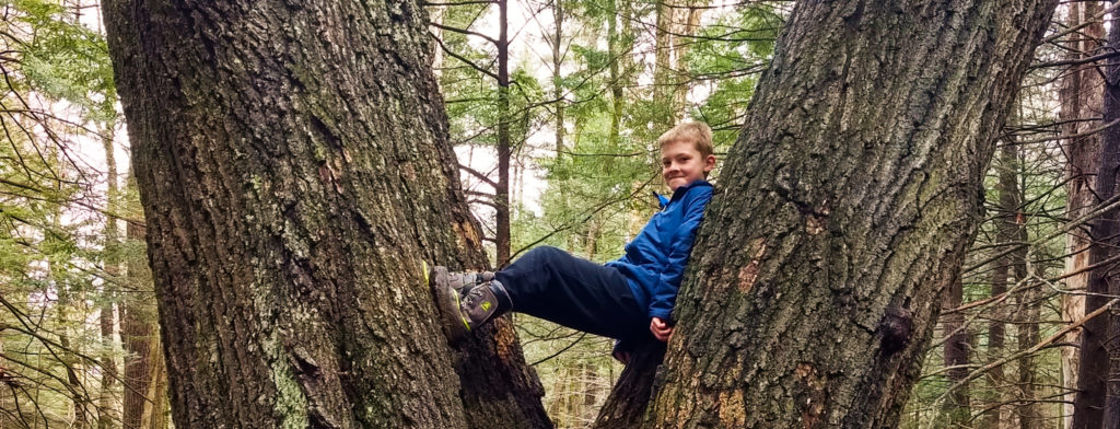 Featured image of article: Tommy in a Tree